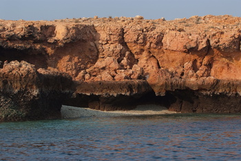 محمية جزر الديمانيات الطبيعية