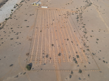 La Reserva Natural de Ras Al Shajar – Qurayyat