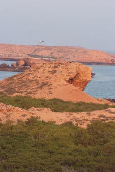 Reserva Natural de las Islas Daymaniyat