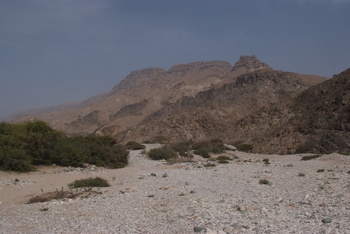 Reserva de Jabal Samhan