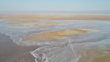  Al Wusta Wetlands Reserve