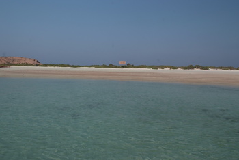 Réserve naturelle des îles Dimaniyat