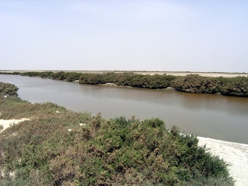 Réserve de zones humides