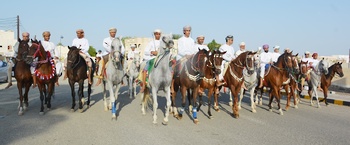 Caballos y Camellos
