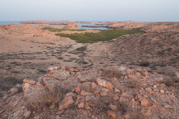 Réserve naturelle des îles Dimaniyat