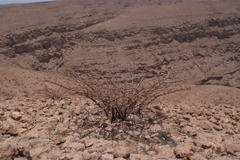 Jabal Samhan Nature Reserve