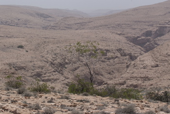 Reserva de Jabal Samhan