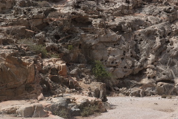 Jabal Samhan Nature Reserve
