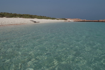 Reserva Natural de las Islas Daymaniyat