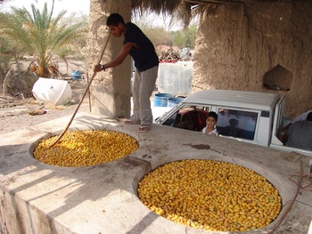 Al Tabsil (Faire bouillir les dattes fraîches dans l’eau)