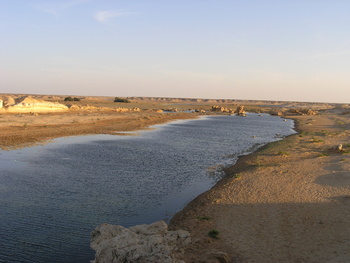 Reserva de Humedales