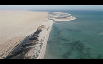  Al Wusta Wetlands Reserve
