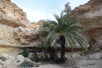 Réserve du Jabal Samhan  