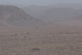 Réserve du Jabal Samhan  