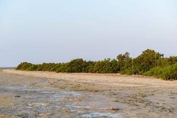 Reserva de Humedales
