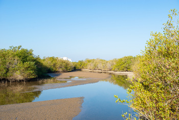 Reserva Natural de Al Qurm
