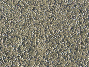 Réserve de zones humides