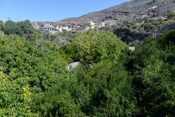 Reserva de Al Jabal Al Akhdar para Paisajes Naturales 