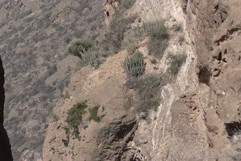 Jabal Samhan Nature Reserve