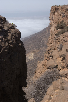 Jabal Samhan Nature Reserve
