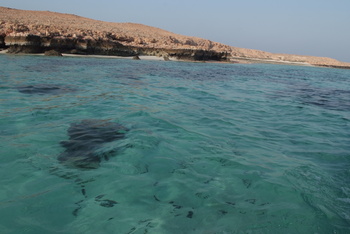 محمية جزر الديمانيات الطبيعية