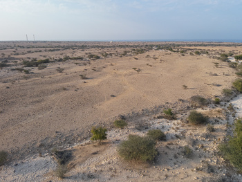 Naturschutzgebiet Ras Al Shajar – Qurayyat