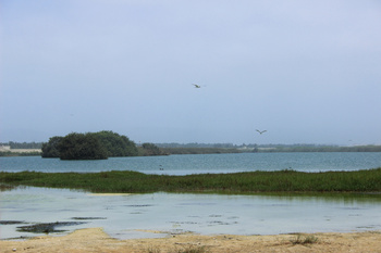 Reserva de Khor Dahariz