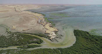Reserva de Humedales