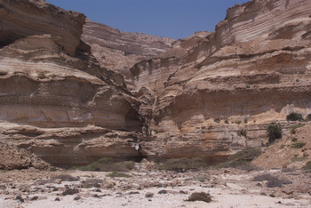 Jabal Samhan Nature Reserve