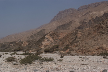 Reserva de Jabal Samhan