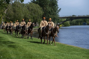 Caballos y Camellos