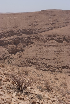 Jabal Samhan Nature Reserve