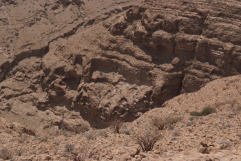 Jabal Samhan Nature Reserve