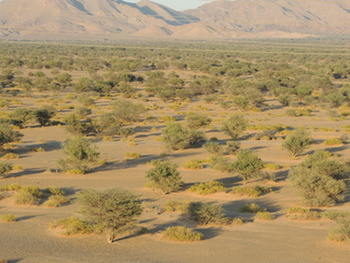 Reserva Natural de Al Saleel