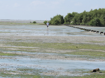 Réserve de zones humides