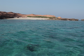 Reserva Natural de las Islas Daymaniyat