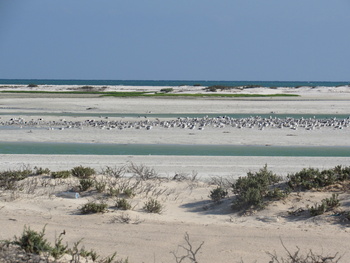 Reserva de Humedales