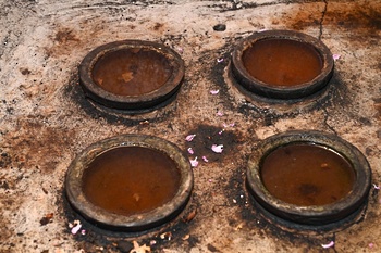 Distillation de l’eau de rose
