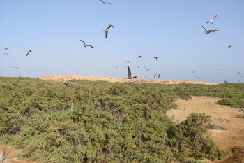 Daymaniyat Islands Nature Reserve