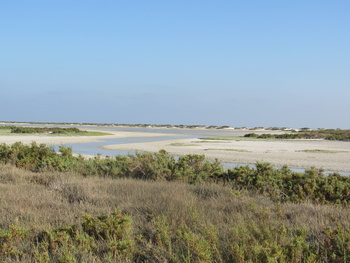  Al Wusta Wetlands Reserve