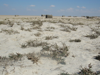 Reserva de Humedales