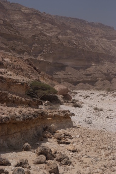 Réserve du Jabal Samhan  