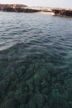 Daymaniyat Islands Nature Reserve