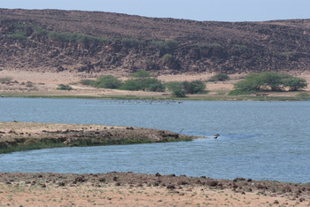 Reserva de Khor Rori