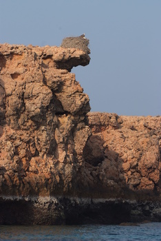 Daymaniyat Islands Nature Reserve