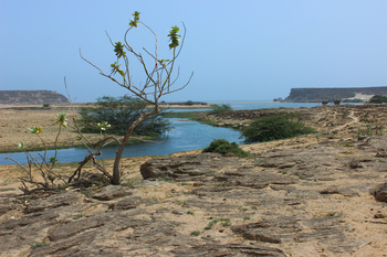 Khawr Rawri Natural Reserve