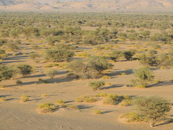 Reserva Natural de Al Saleel