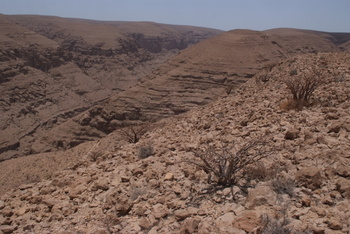 Jabal Samhan Nature Reserve
