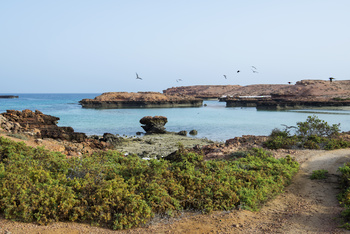 Daymaniyat Islands Nature Reserve
