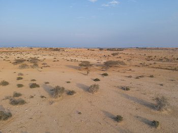 La Reserva Natural de Ras Al Shajar – Qurayyat